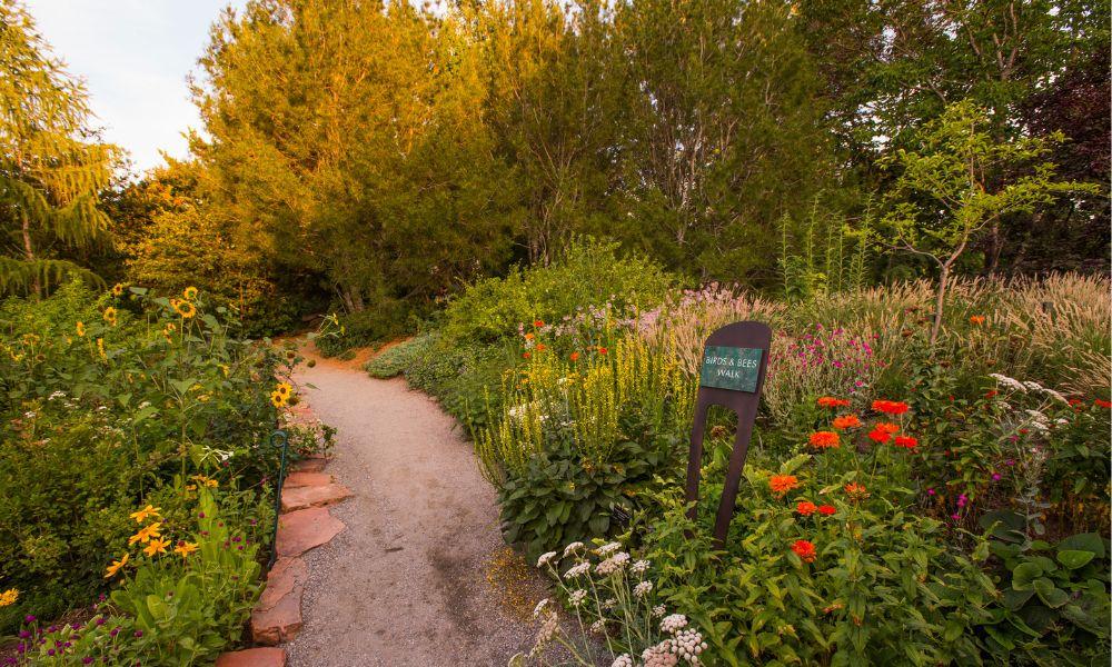 Lush garden at the Denver Botanic Gardens showing a mix of native plants and green vegetation